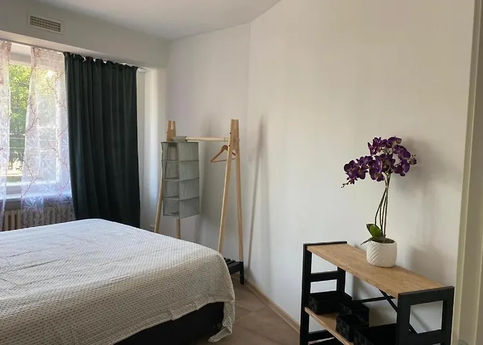 Rentigal Near Old Town 公寓 塔林